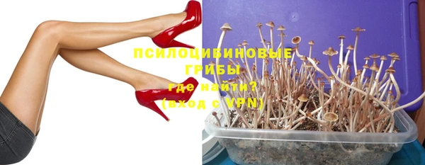 мяу мяу мука Алзамай