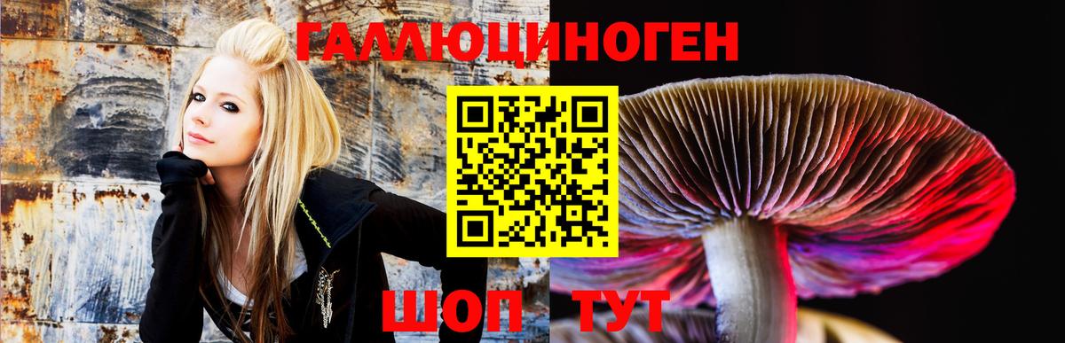 Галлюциногенные грибы Cubensis  Вход с VPN  Новошахтинск 